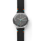 Skagen Horizont SKW2930