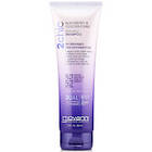 Giovanni Cosmetics 2 Chic Repairing Shampoo 250ml