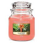Yankee Candle Medium Jar The Last Paradise