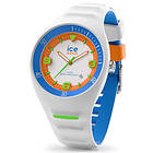 ICE Watch 017595