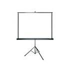 Grandview Portable Screen 1:1 100" (180x180)