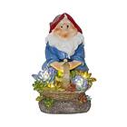 Star Trading Gnomy with Flower Basket