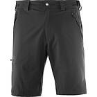 Salomon Wayfarer Shorts (Herr)