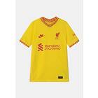 Nike Liverpool FC Strike