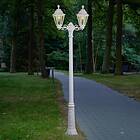 Fumagalli Artu Rut (2L)