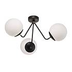 Argon Lampy Tuse 3