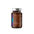 CLAV Focus - Nootropic Brain Support 60 Capsules