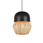 Forestier Anemos S