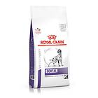 Royal Canin CVD Dental 13kg