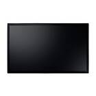 AG Neovo TX-4302 43"