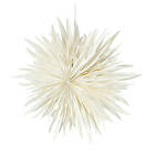 Watt & Veke Eldig 52