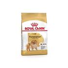 Royal Canin Adult Pomeranian 0,5kg