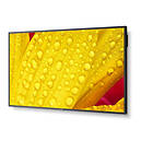 NEC MultiSync ME501 IR 4K UHD