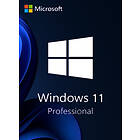 Microsoft Windows 11 Pro MUI (OEM ESD)