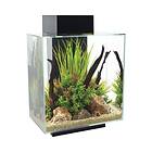 Fluval Edge 46L