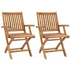 vidaXL Folding Garden Chairs 2 pcs Solid Teak Wood