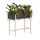 Design House Stockholm Botanic H65cm