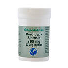 Örtspecialisten Cordyceps Sinensis 50 Kapslar