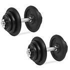 vidaXL Dumbbells 2x40kg
