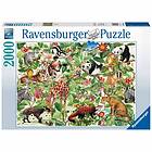 Ravensburger Puslespill Djungel 2000 Brikker