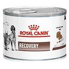 Royal Canin Recovery Ultra Soft Mousse 12x0,195kg