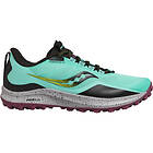 Saucony Peregrine 12 (Dam)