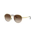 Ray-Ban RB3681