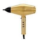BaByliss FXBDR1E PRO GoldFX Dryer