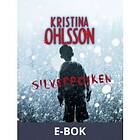 Silverpojken (E-bok)