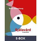 Själavård en grundbok (E-bok)