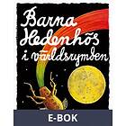 Barna Hedenhös i världsrymden, (E-bok)