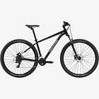 Cannondale Trail 8 2022