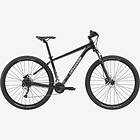 Cannondale Trail 7 2022