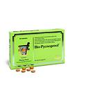 Pharma Nord Bio-Pycnogenol 90 Tabletter