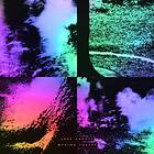Abbott Luke: Wysing Forest (Vinyl)