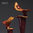 Daphni: Fabriclive 93 CD