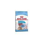 Royal Canin Starter Mother & Babydog Medium 15kg