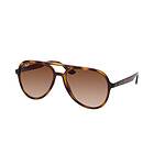 Ray-Ban RB4376