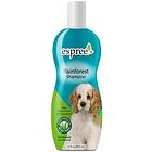 Espree Rainforest schampo 355ml