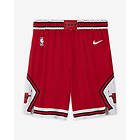 Nike Nba Swingman Chicago Bulls Icon