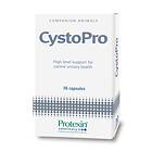 Protexin Veterinary CystoPro for Dogs 30st