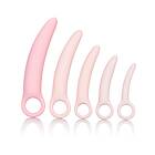 CalExotics Inspire Silicone Dilator 5-pack