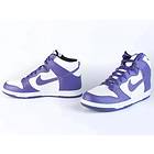 Nike Dunk High (Herr)
