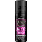 Schwarzkopf Root Retoucher 120ml