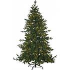 Star Trading Juletre med 270 LED Larvik 180cm