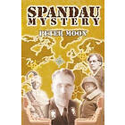 Spandau Mystery