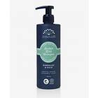 Rudolph Care Herbal Mint Shampoo 390ml