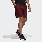Adidas Club Graphic Tennis Shorts (Herr)