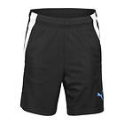 Puma TeamLIGA 2 Shorts (Jr)