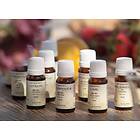Crearome Grönmyntaolja Eko 10ml